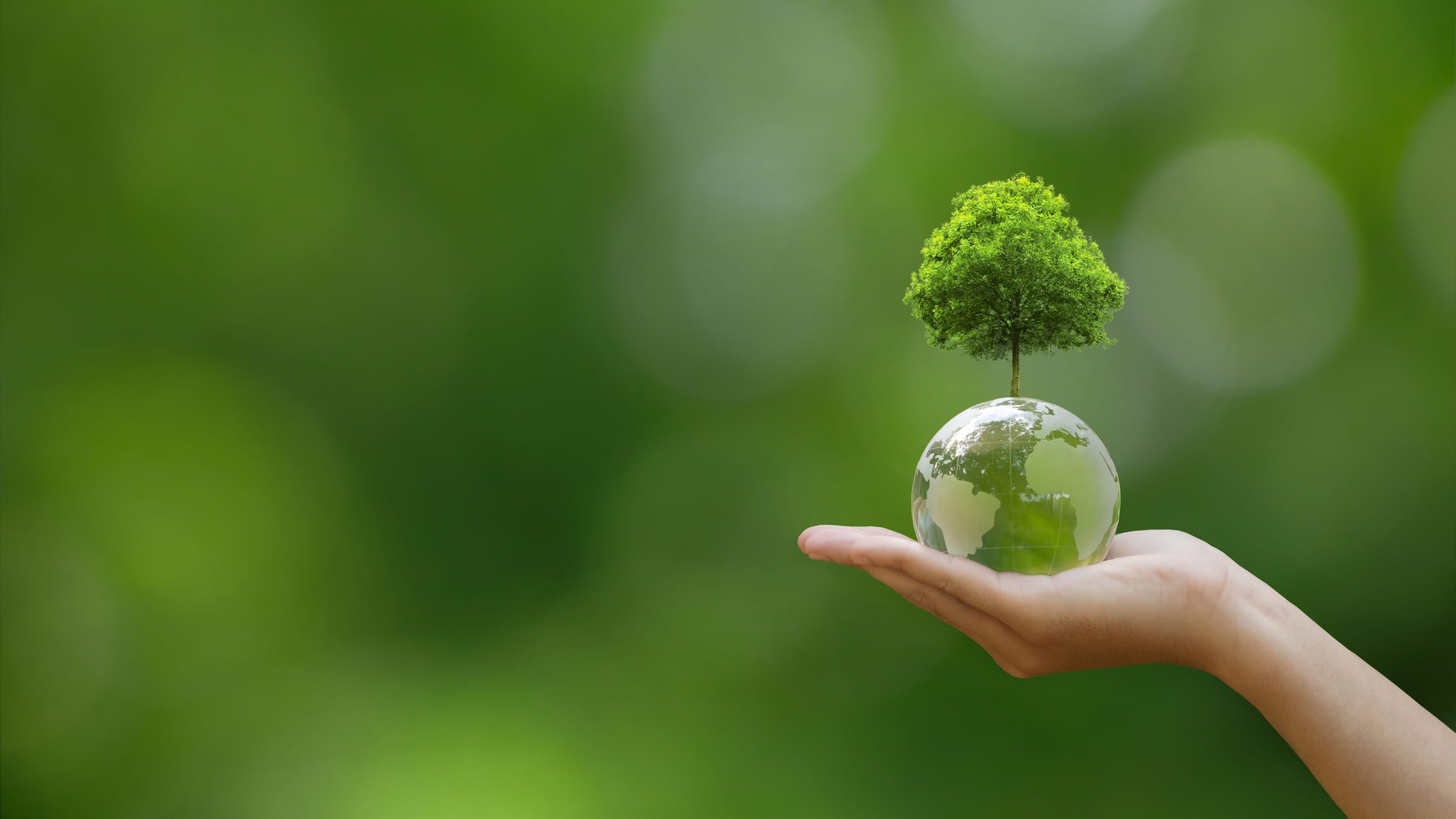 ausbildung stressregulation