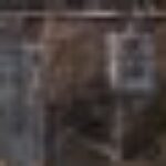 Profilfoto von petra kretschmer