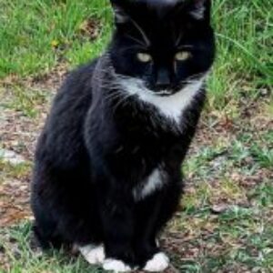 Profilfoto von Simone Müller